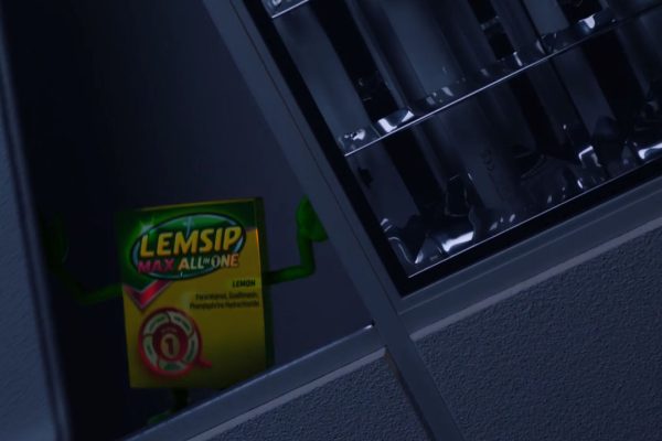 sm_lemsip_02